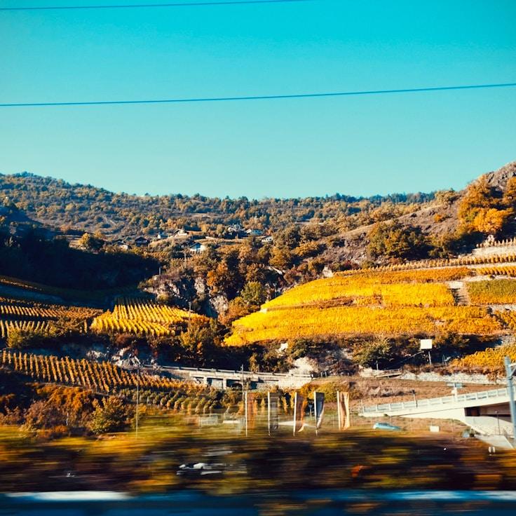 Entertainment zone at night in Switzerland